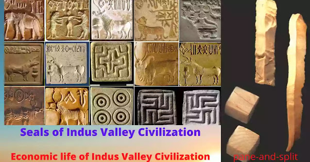 social and economic life of indus valley civilization.
